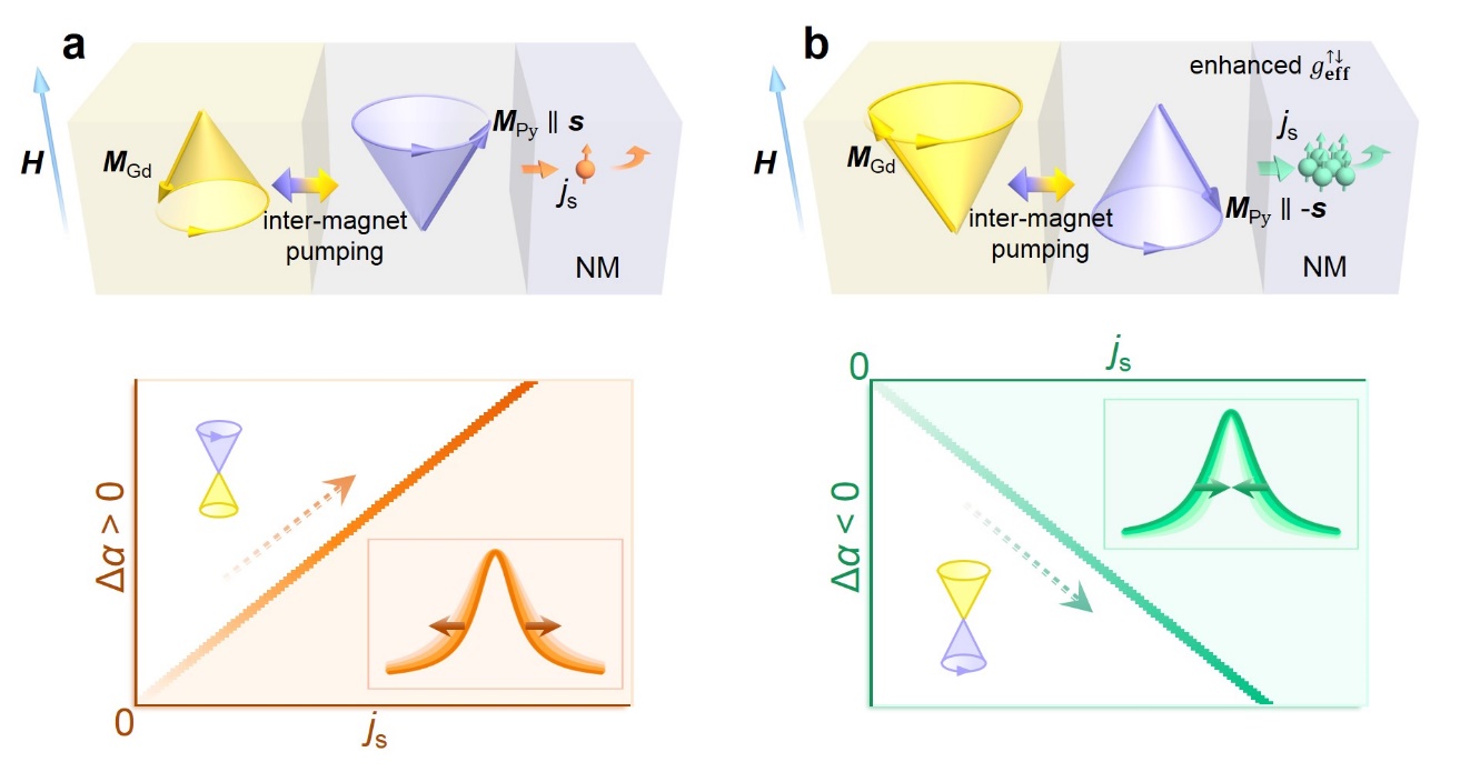 image1.jpeg
